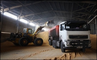 رکورد ۱۱ ساله تخلیه کنجاله سویا در بندر امام‌ خمینی (ره) شکسته شد