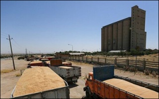 جابجایی روزانه ۱۳ هزار تن گندم در استان خوزستان