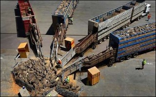 گلایه فعالان حمل‌ و نقل از بخشنامه‌های خلق‌الساعه ؛ ممنوعیت ناگهانی ترانزیت دام