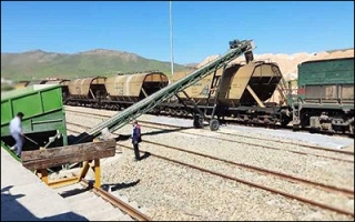 نخستین محموله ریلی گندم وارداتی کیفی ۱۴۰۴ به سمنان رسید