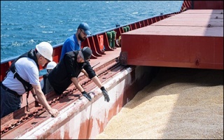 رشد ۱۵ درصدی حمل جهانی غلات با کشتی‌های فله در آغاز سال ۲۰۲۶